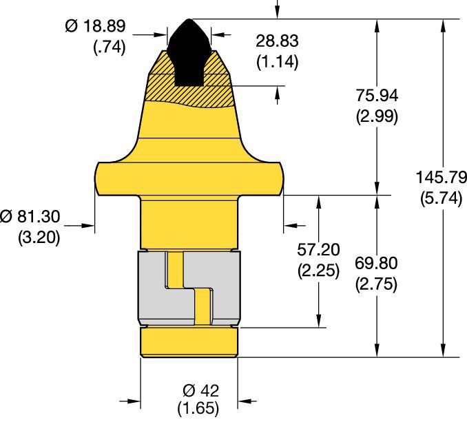 Denti conici con codolo 42 mm