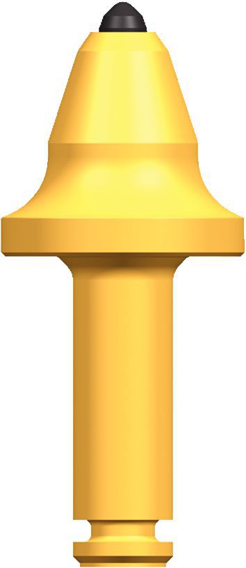 T1 X