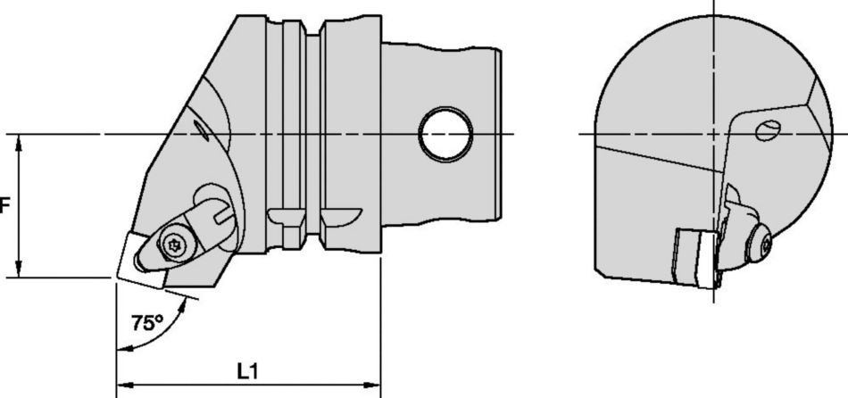 DSRN 75°