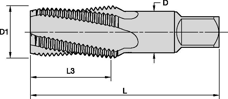 GOtap™ Spiral-Flute HSS-E Pipe Taps