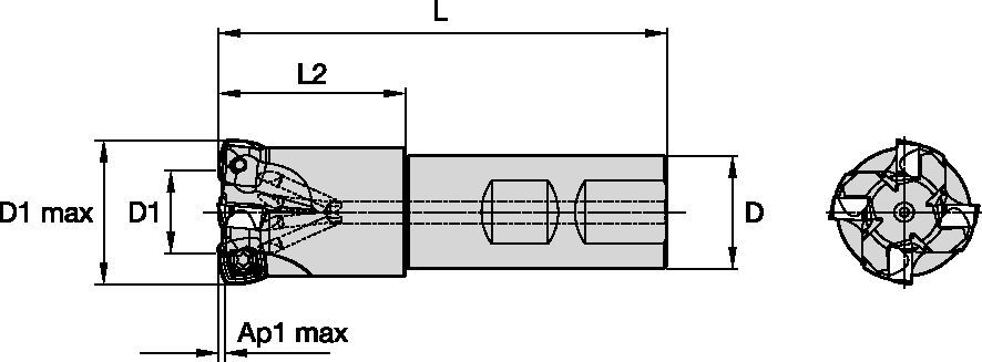 VXF™-09 - Weldon® End Mills - Metric 6597737 - WIDIA