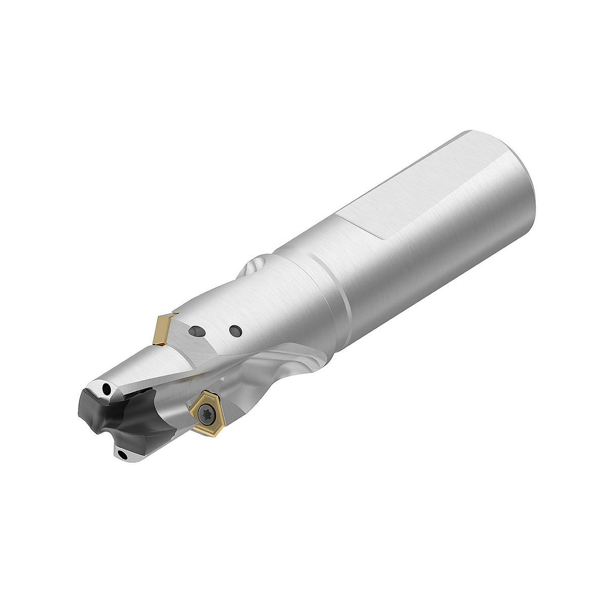 Modular Drilling • Whistle Notch™ Shank (WN)