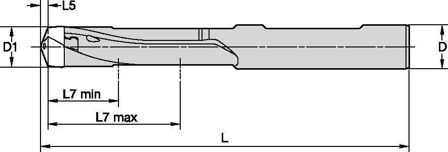 Modular Drilling • Shank for BF Tools • Straight Fluted