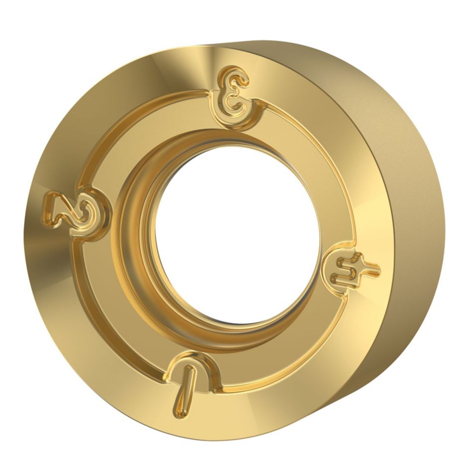 Rodeka™ IC10 • Carbide Insert • RNGJ-LD • Light Machining
