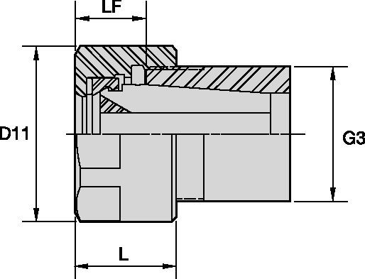 TG Standard Hex Locknuts