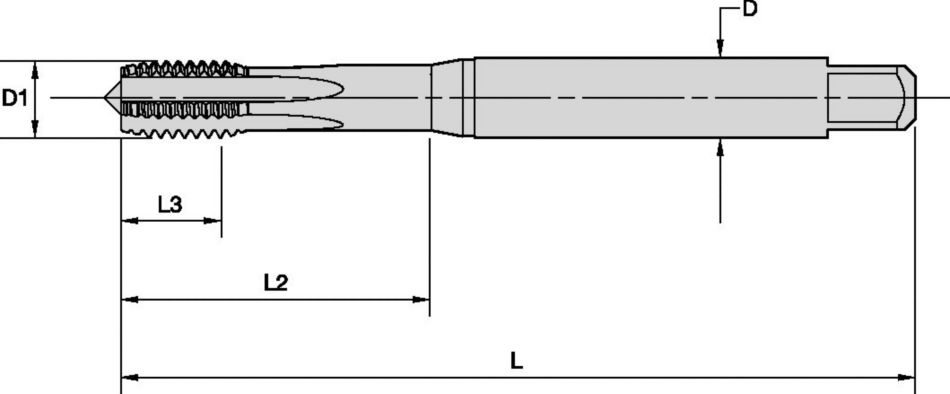 GT06 STFL MM Tapping - 4159916 - WIDIA