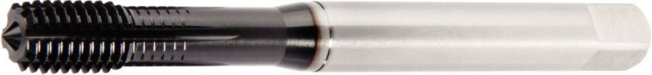 GT22 Forming Tap MM Tapping - 4154672 - WIDIA