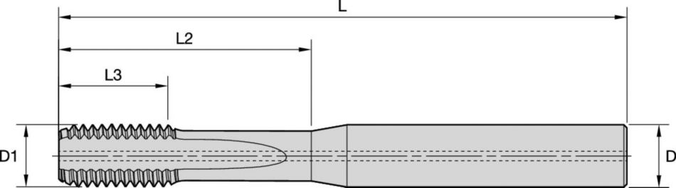 Gwintowniki monolityczne Beyond™ z węglika spiekanego z rowkiem prostym • Otwory nieprzelotowe