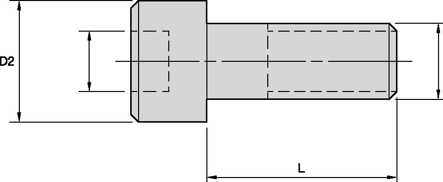 SM Cap Lock Screw • Metric