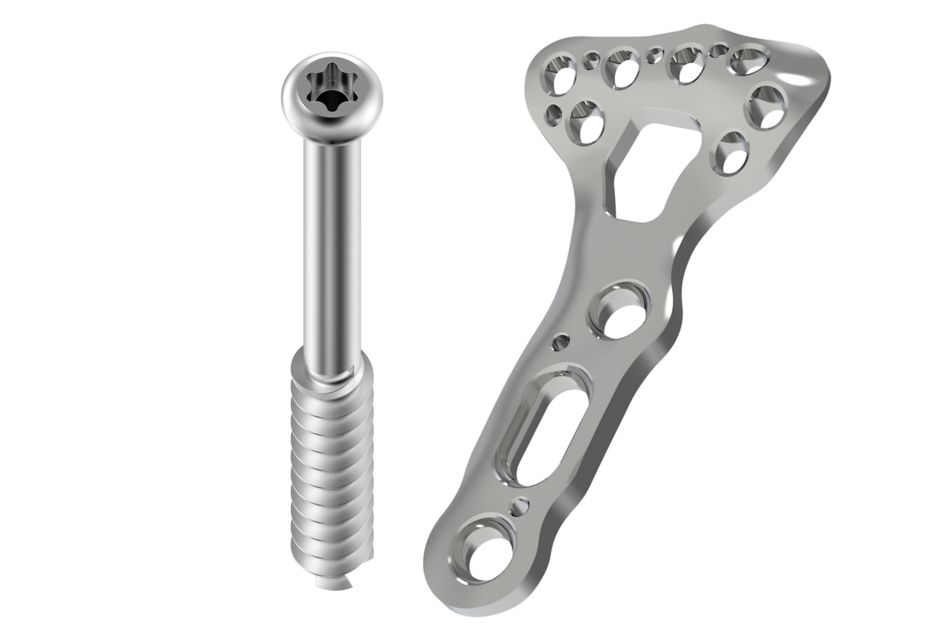 Bone plate and bone screw