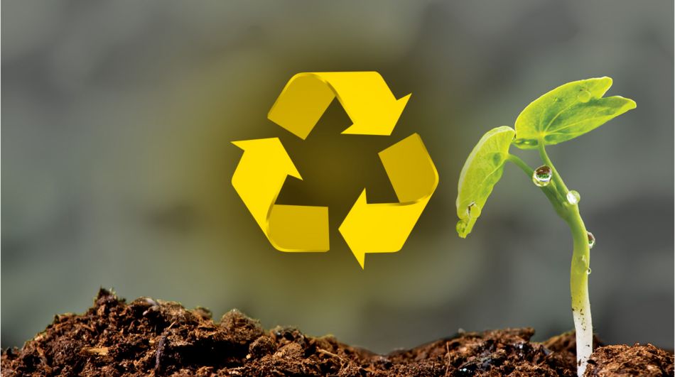 Recylcing Icon with a Plant Growing