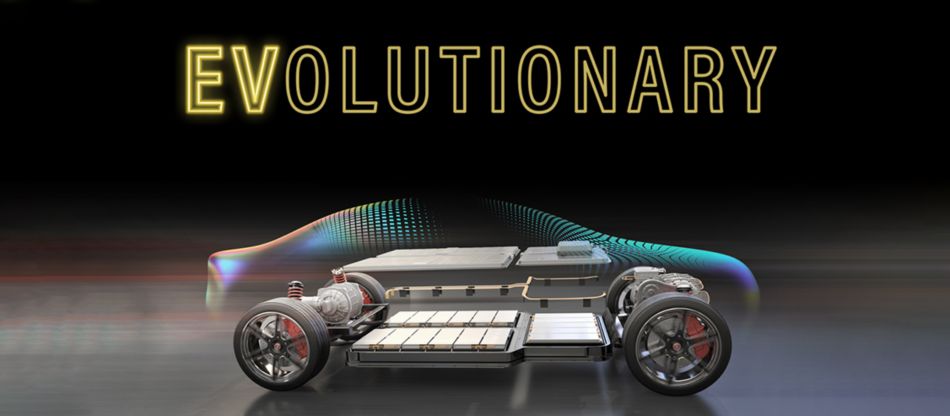 EVolutionary Feature Banner
