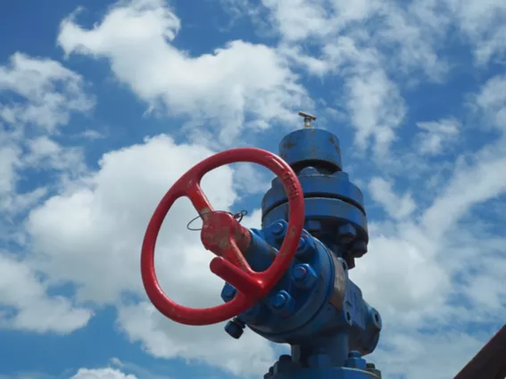 Oil and Gas Wellhead and Xmas Tree Valve