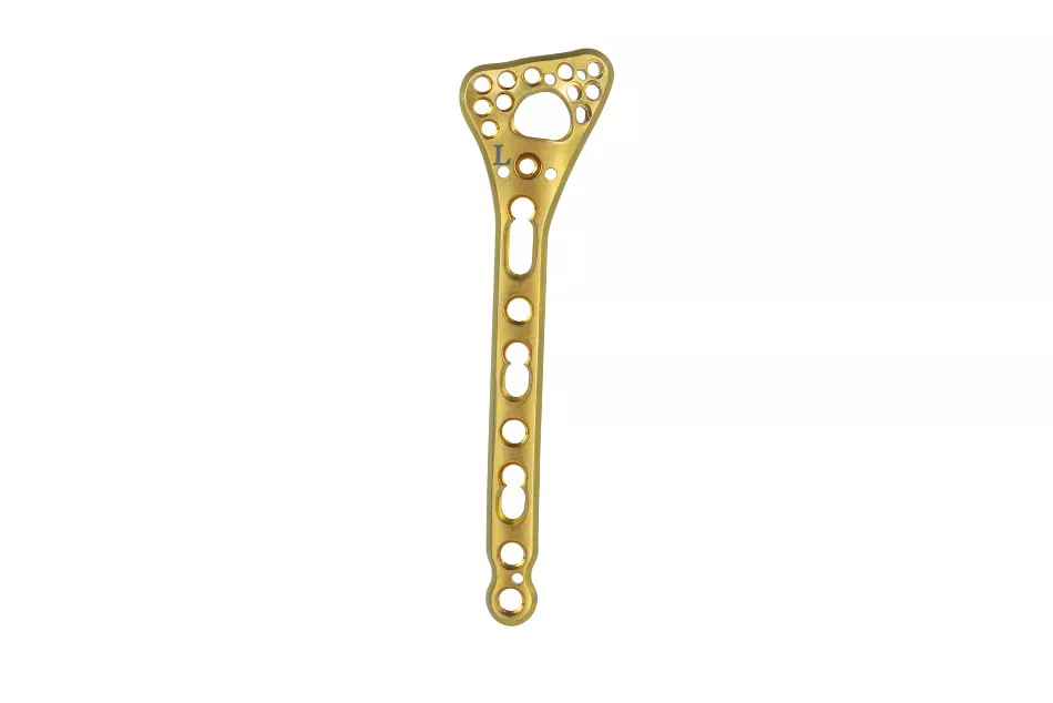 Orthopedic surgical plate and screw implant