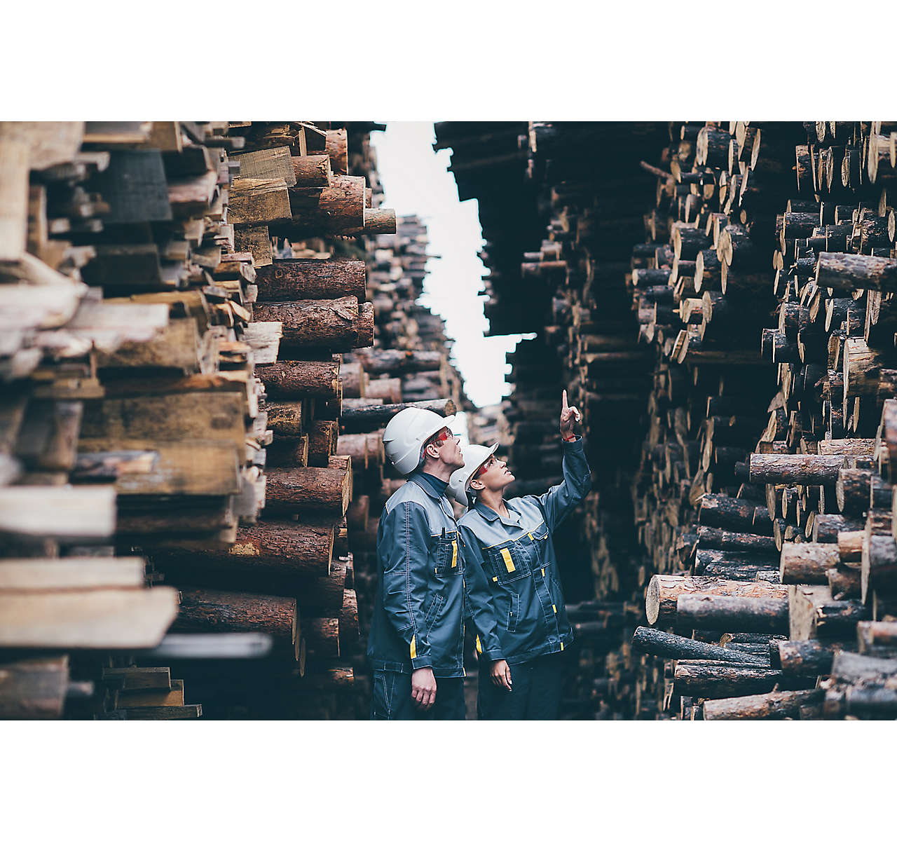 Two people looking at stacked logs