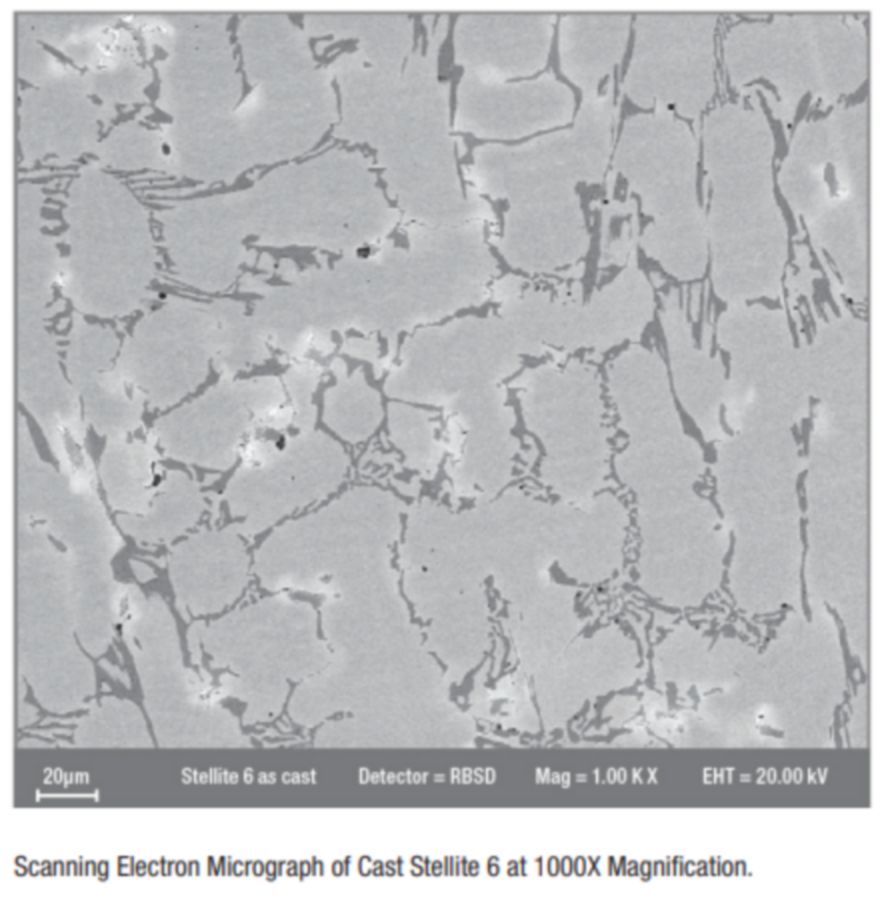 Scanning Electron Micrograph of Cast Stellite 6 at 1000X Magnification