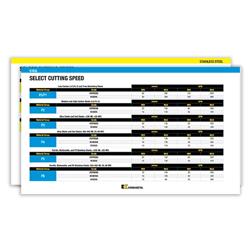 Topswiss MBS Application Data Cover Page