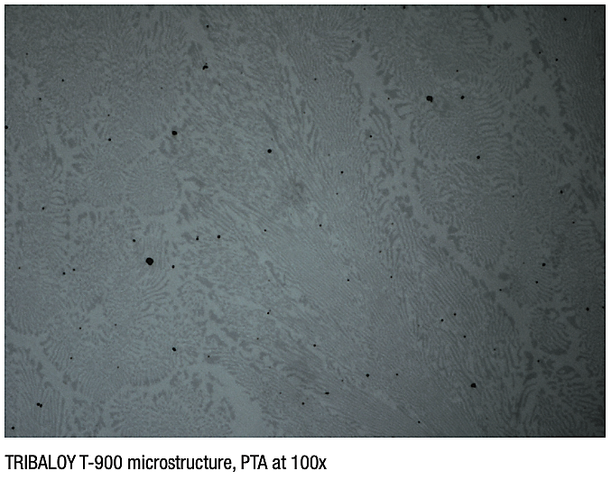 Tribaloy T-900 Microstructure, PTA at 100x