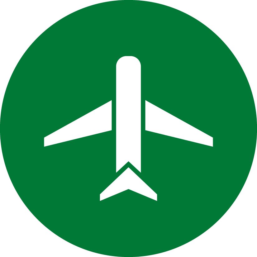 WIDIA Aerospace airplane in triangle icon